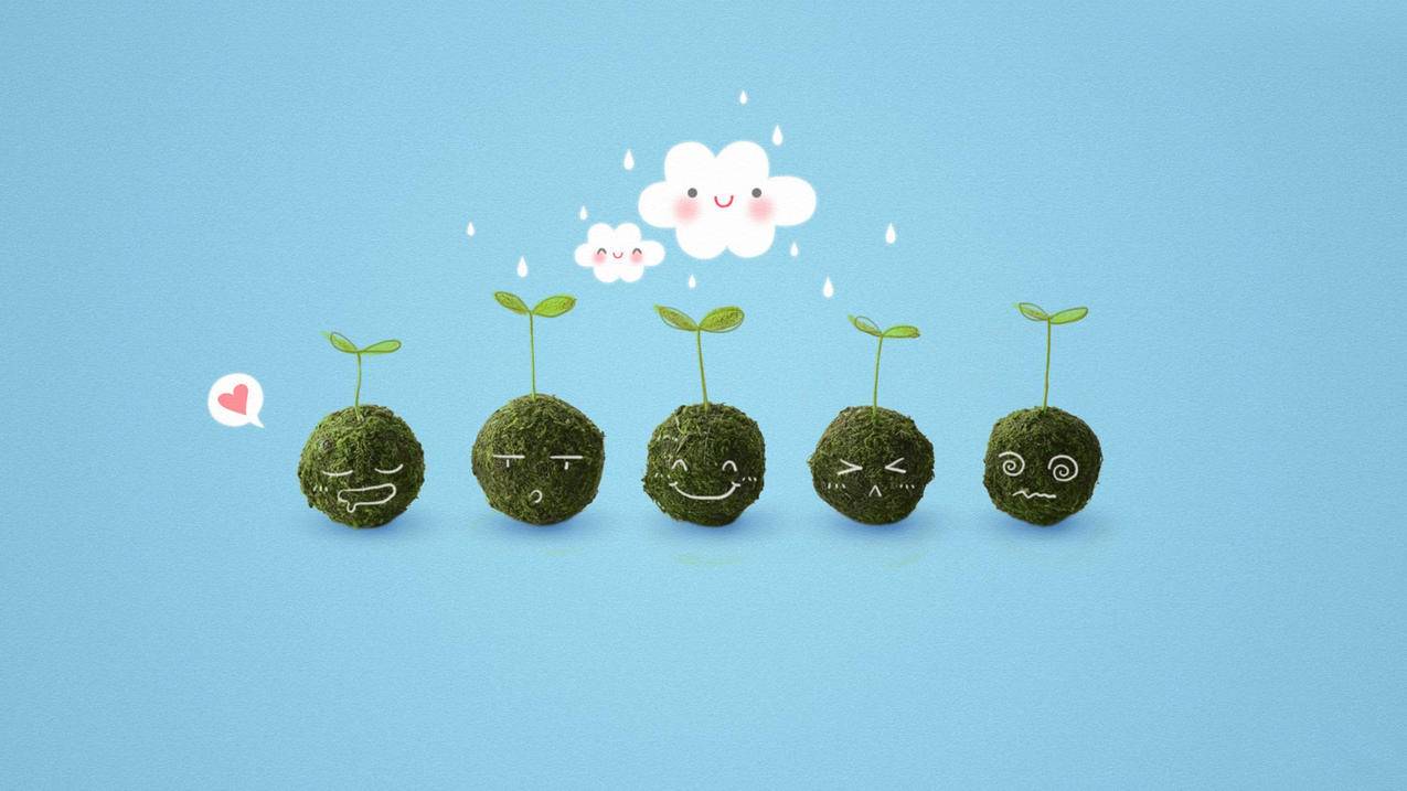呱呱代网刷,抖音业务全网最低价,dy播放量秒到账